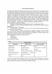 www.speros.lt